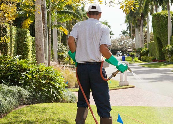 About Kinsley KS Pest Control